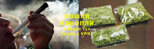 трава Балахна