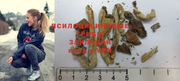 apvp Балабаново
