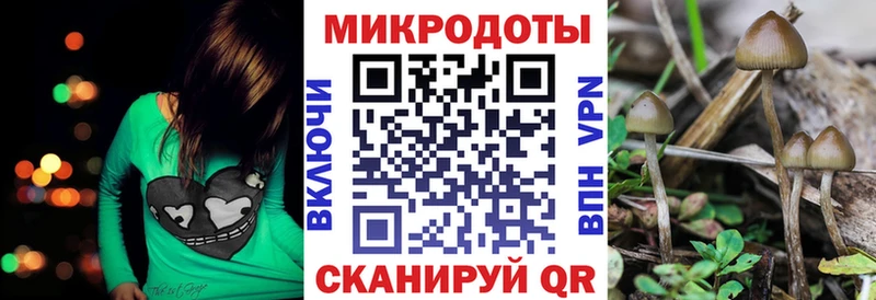 darknet состав Колпашево Галлюциногенные грибы MAGIC MUSHROOMS